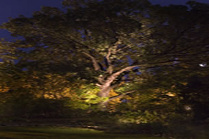 low voltage outdoor lighting