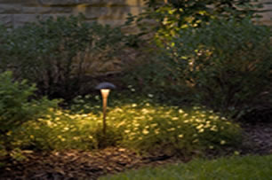 garden illumination